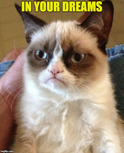 Grumpy Cat Meme | IN YOUR DREAMS | image tagged in memes,grumpy cat | made w/ Imgflip meme maker