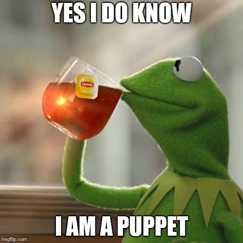 But That's None Of My Business Meme | YES I DO KNOW; I AM A PUPPET | image tagged in memes,but thats none of my business,kermit the frog | made w/ Imgflip meme maker