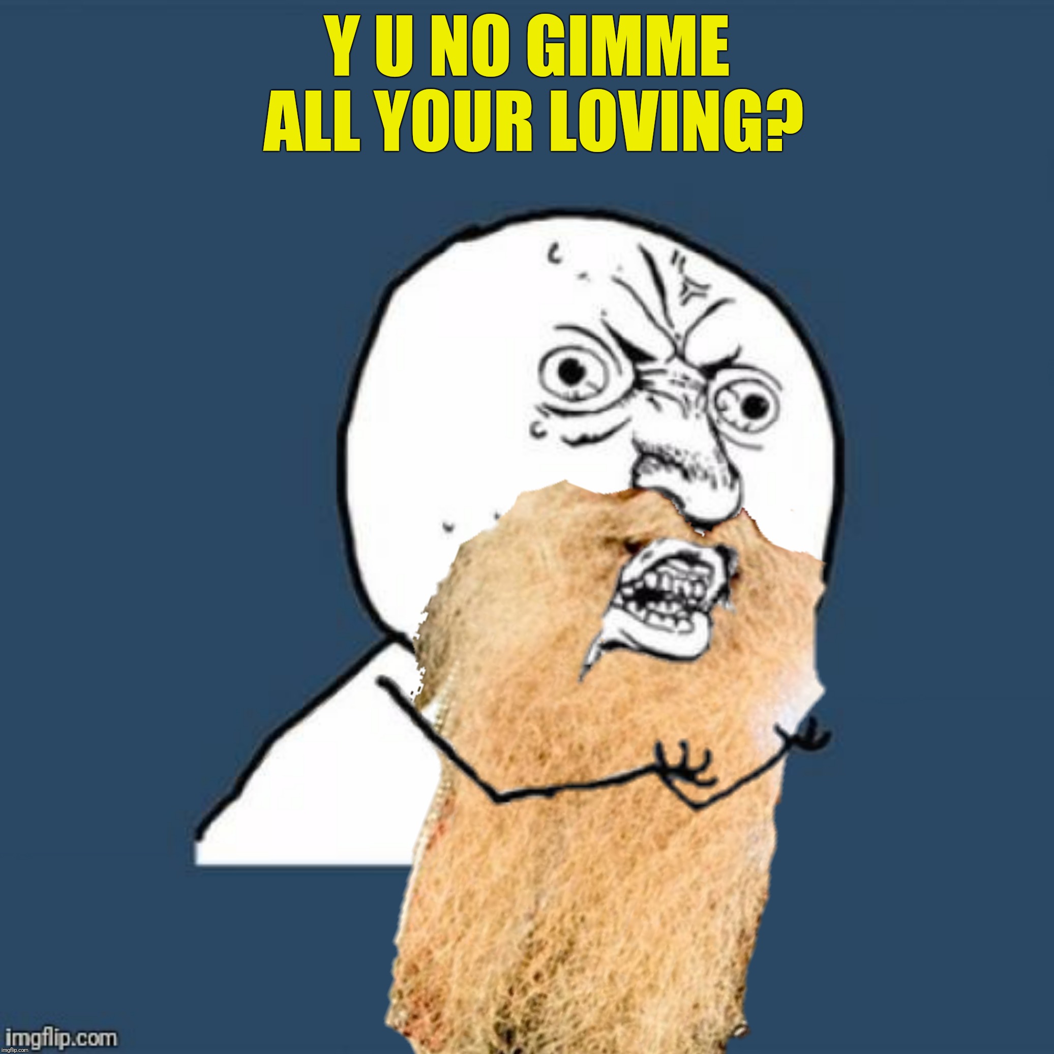 Bad Photoshop Sunday presents:  Bad Photoshop Sunday meets Y U NOvember,  A socrates and punman 21 event | Y U NO GIMME ALL YOUR LOVING? | image tagged in bad photoshop sunday,y u november,zz top,billy gibbons,y u no,gimme all your loving | made w/ Imgflip meme maker