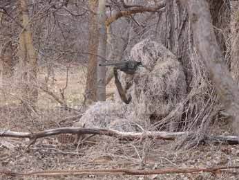 High Quality Ghillie suit Blank Meme Template