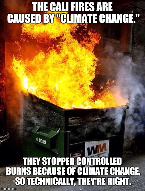 The dumpster fire, that is liberalism.  | THE CALI FIRES ARE CAUSED BY "CLIMATE CHANGE."; THEY STOPPED CONTROLLED BURNS BECAUSE OF CLIMATE CHANGE, SO TECHNICALLY, THEY'RE RIGHT. | image tagged in dumpster fire | made w/ Imgflip meme maker