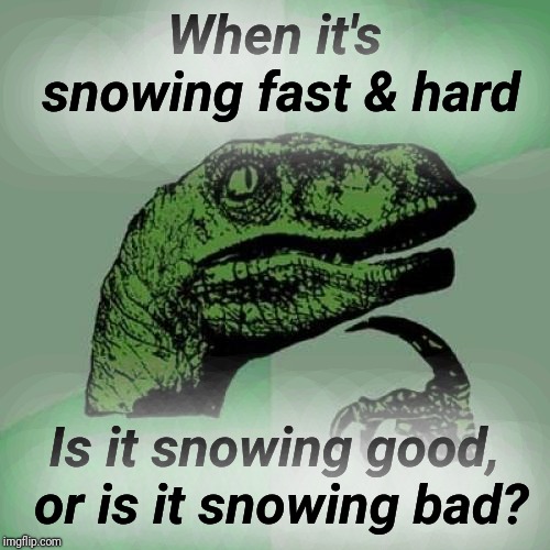Blizzard | When it's snowing fast & hard; Is it snowing good, or is it snowing bad? | image tagged in memes,philosoraptor,blizzard,snow,winter,justjeff | made w/ Imgflip meme maker