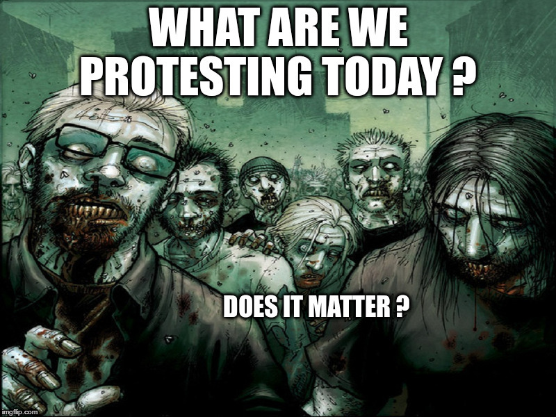 NPC Zombie Protests | image tagged in free speech,allegedly peaceful protests,by thugs wearing helmets and masks,carrying clubs and pepper spray | made w/ Imgflip meme maker