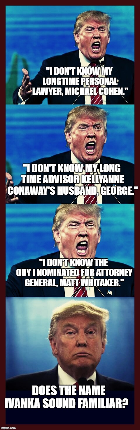 Trump triggered! Triggered! TRIGGERED! Tarded! | "I DON'T KNOW MY LONGTIME PERSONAL LAWYER, MICHAEL COHEN."; "I DON'T KNOW MY LONG TIME ADVISOR KELLYANNE CONAWAY'S HUSBAND, GEORGE."; "I DON'T KNOW THE GUY I NOMINATED FOR ATTORNEY GENERAL, MATT WHITAKER."; DOES THE NAME IVANKA SOUND FAMILIAR? | image tagged in trump triggered triggered triggered tarded | made w/ Imgflip meme maker