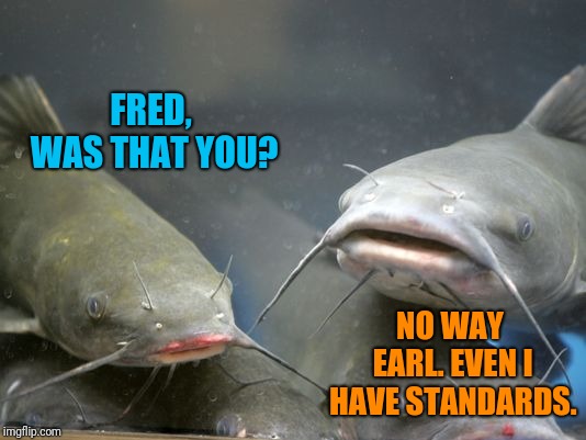 FRED, WAS THAT YOU? NO WAY EARL. EVEN I HAVE STANDARDS. | made w/ Imgflip meme maker