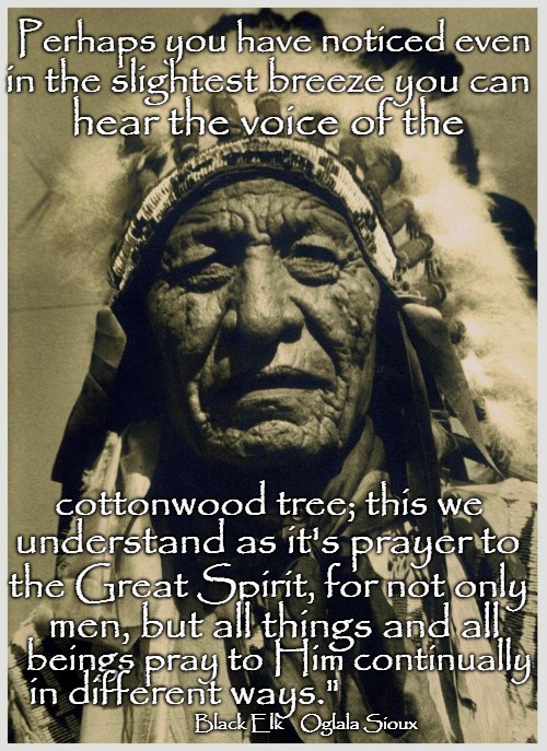 Black Elk Speaks | Perhaps you have noticed even; in the slightest breeze you can; hear the voice of the; cottonwood tree; this we; understand as it's prayer to; the Great Spirit, for not only; men, but all things and all; beings pray to Him continually; in different ways."; Black Elk    Oglala Sioux | image tagged in native american,native americans,indians,indian chief,indian chiefs,tribe | made w/ Imgflip meme maker