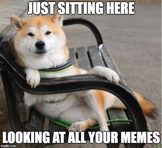 Cool shiba Inu  | JUST SITTING HERE; LOOKING AT ALL YOUR MEMES | image tagged in cool shiba inu | made w/ Imgflip meme maker