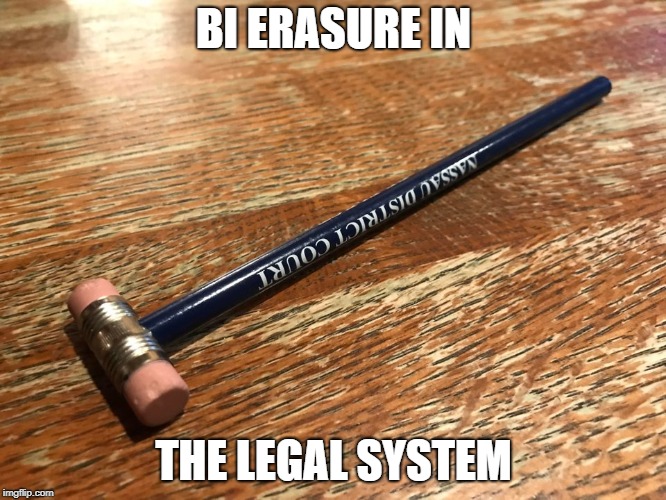 Bi-Erasure | BI ERASURE IN; THE LEGAL SYSTEM | image tagged in bi-erasure | made w/ Imgflip meme maker