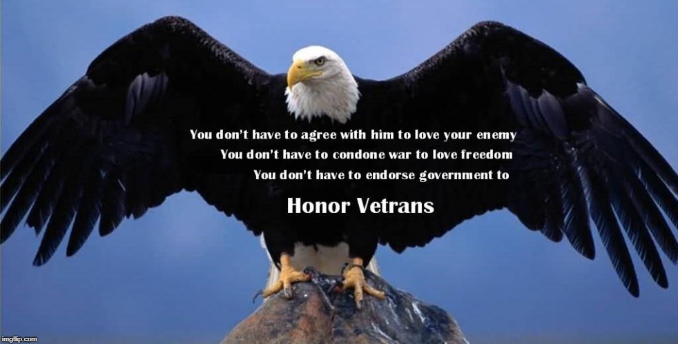 11-11 | image tagged in veterans,veterans day,eagle,patriotic eagle,freedom,still a better love story than twilight | made w/ Imgflip meme maker
