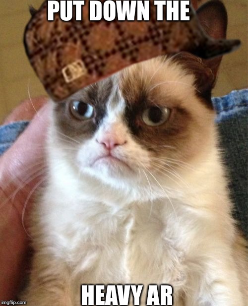 Grumpy Cat | PUT DOWN THE; HEAVY AR | image tagged in memes,grumpy cat,scumbag | made w/ Imgflip meme maker