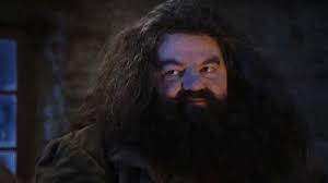 hagrid Blank Meme Template