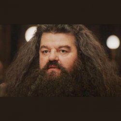 High Quality hagrid 2 Blank Meme Template