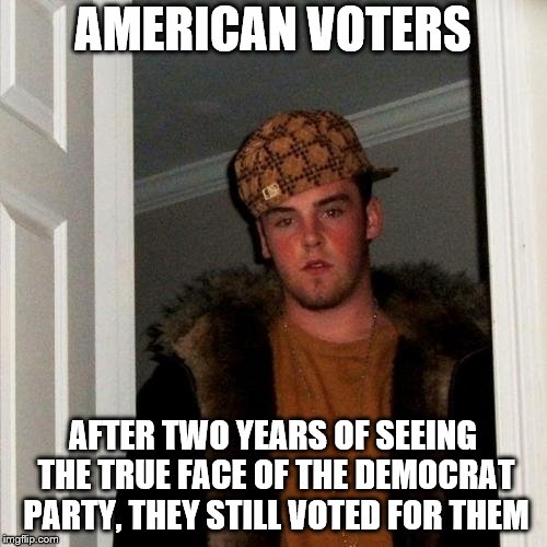 Scumbag Steve | AMERICAN VOTERS; AFTER TWO YEARS OF SEEING THE TRUE FACE OF THE DEMOCRAT PARTY, THEY STILL VOTED FOR THEM | image tagged in memes,scumbag steve | made w/ Imgflip meme maker