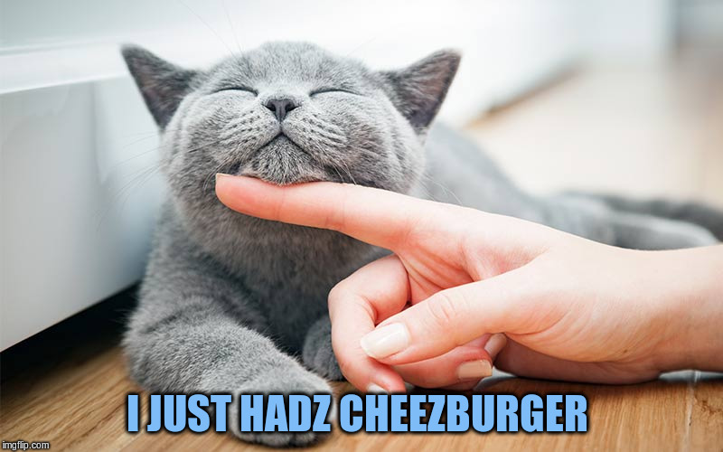 First World Cats | I JUST HADZ CHEEZBURGER | image tagged in memes,cats,cheeseburger | made w/ Imgflip meme maker