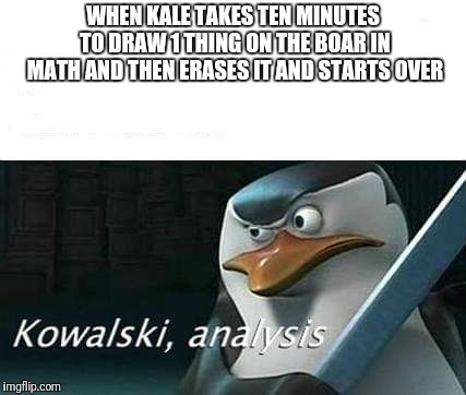 kowalski, analysis | WHEN KALE TAKES TEN MINUTES TO DRAW 1 THING ON THE BOAR IN MATH AND THEN ERASES IT AND STARTS OVER | image tagged in kowalski analysis | made w/ Imgflip meme maker