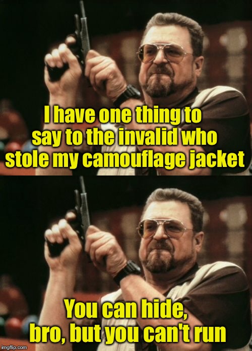 Am I the only one around here who likes a good bad pun? | I have one thing to say to the invalid who stole my camouflage jacket; You can hide, bro, but you can't run | image tagged in memes,am i the only one around here,bad pun | made w/ Imgflip meme maker