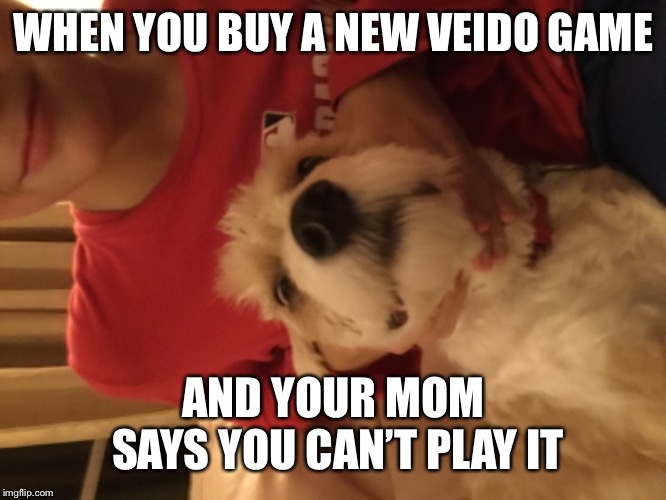 Smiledog | WHEN YOU BUY A NEW VEIDO GAME; AND YOUR MOM SAYS YOU CAN’T PLAY IT | image tagged in funny | made w/ Imgflip meme maker