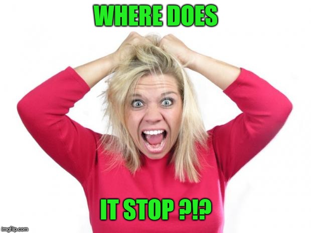 Hair Pulling | WHERE DOES IT STOP ?!? | image tagged in hair pulling | made w/ Imgflip meme maker