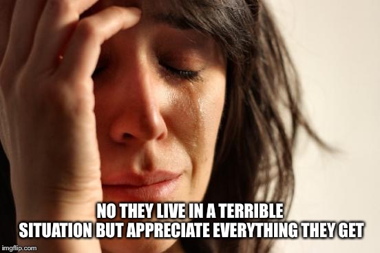 First World Problems Meme | NO THEY LIVE IN A TERRIBLE SITUATION BUT APPRECIATE EVERYTHING THEY GET | image tagged in memes,first world problems | made w/ Imgflip meme maker