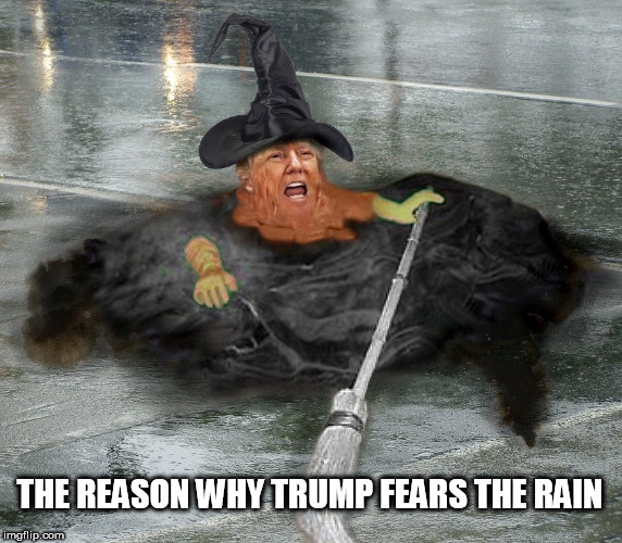 THE REASON WHY TRUMP FEARS THE RAIN | image tagged in trump,wicked witch,witch,rain,world war 1,veterans day | made w/ Imgflip meme maker