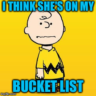 charlie brown | I THINK SHE'S ON MY BUCKET LIST | image tagged in charlie brown | made w/ Imgflip meme maker