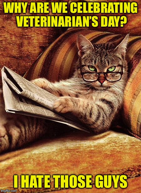 cat reading | WHY ARE WE CELEBRATING VETERINARIAN’S DAY? I HATE THOSE GUYS | image tagged in cat reading | made w/ Imgflip meme maker