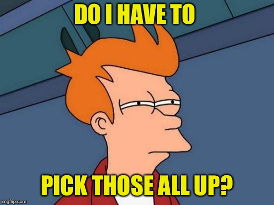 Futurama Fry Meme | DO I HAVE TO PICK THOSE ALL UP? | image tagged in memes,futurama fry | made w/ Imgflip meme maker