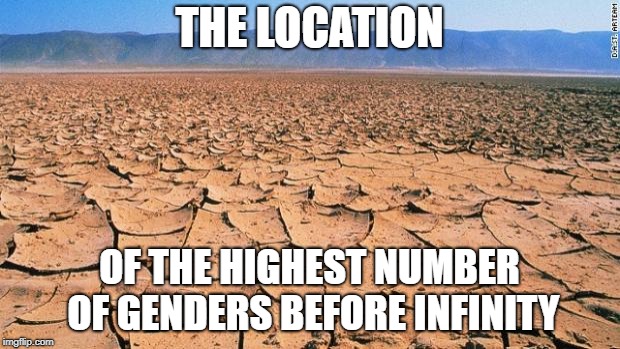 #desert | THE LOCATION; OF THE HIGHEST NUMBER OF GENDERS BEFORE INFINITY | image tagged in desert | made w/ Imgflip meme maker