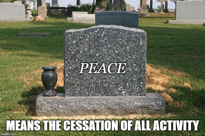 PEACE; MEANS THE CESSATION OF ALL ACTIVITY | image tagged in grave | made w/ Imgflip meme maker