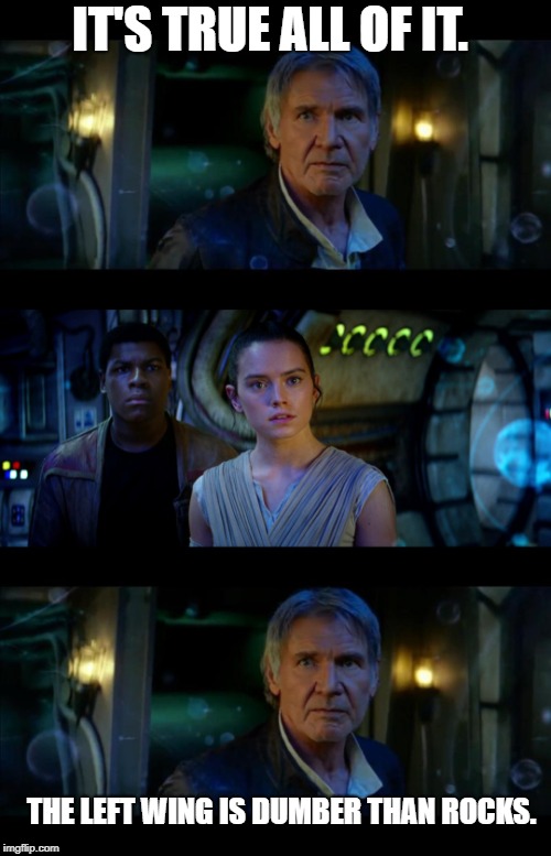 It's True All of It Han Solo Meme | IT'S TRUE ALL OF IT. THE LEFT WING IS DUMBER THAN ROCKS. | image tagged in memes,it's true all of it han solo | made w/ Imgflip meme maker