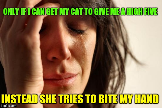 First World Problems Meme | ONLY IF I CAN GET MY CAT TO GIVE ME A HIGH FIVE INSTEAD SHE TRIES TO BITE MY HAND | image tagged in memes,first world problems | made w/ Imgflip meme maker