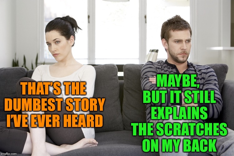 couple arguing | THAT’S THE DUMBEST STORY I’VE EVER HEARD MAYBE, BUT IT STILL EXPLAINS THE SCRATCHES ON MY BACK | image tagged in couple arguing | made w/ Imgflip meme maker