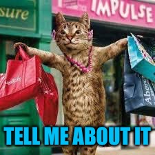 Cat shopping | TELL ME ABOUT IT | image tagged in cat shopping | made w/ Imgflip meme maker
