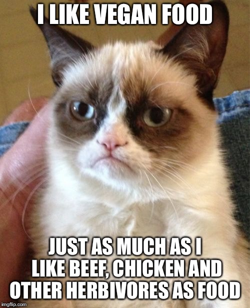 Grumpy Cat Meme | I LIKE VEGAN FOOD JUST AS MUCH AS I LIKE BEEF, CHICKEN AND OTHER HERBIVORES AS FOOD | image tagged in memes,grumpy cat | made w/ Imgflip meme maker