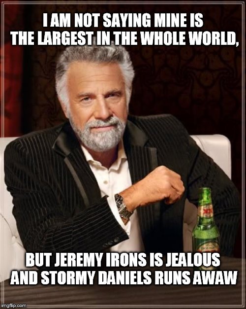 The Most Interesting Man In The World | I AM NOT SAYING MINE IS THE LARGEST IN THE WHOLE WORLD, BUT JEREMY IRONS IS JEALOUS AND STORMY DANIELS RUNS AWAW | image tagged in memes,the most interesting man in the world | made w/ Imgflip meme maker