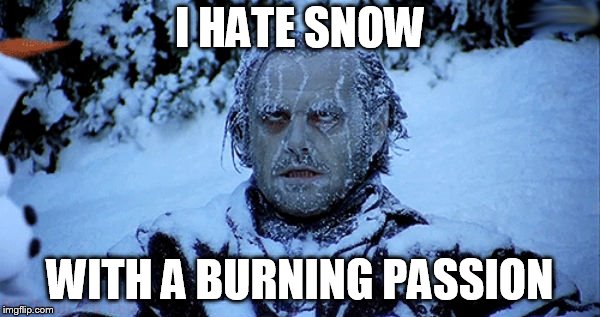 Freezing cold | I HATE SNOW; WITH A BURNING PASSION | image tagged in freezing cold | made w/ Imgflip meme maker