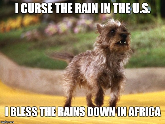 Toto Africa | I CURSE THE RAIN IN THE U.S. I BLESS THE RAINS DOWN IN AFRICA | image tagged in toto africa | made w/ Imgflip meme maker