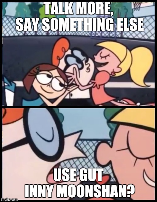 Say it Again, Dexter Meme | TALK MORE, SAY SOMETHING ELSE USE GUT INNY MOONSHAN? | image tagged in say it again dexter | made w/ Imgflip meme maker