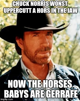 Chuck Norris | CHUCK NORRIS WONST UPPERCUTT A HORS IN THE JAW; NOW THE HORSES BABYS ARE GERRAFE | image tagged in memes,chuck norris | made w/ Imgflip meme maker