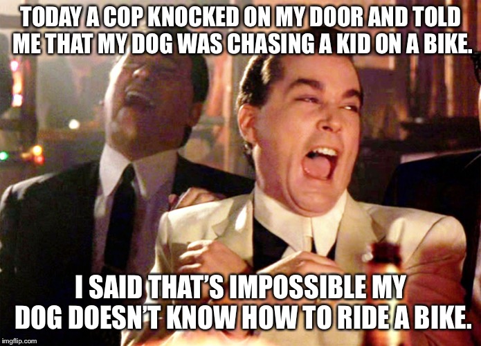 Good Fellas Hilarious | TODAY A COP KNOCKED ON MY DOOR AND TOLD ME THAT MY DOG WAS CHASING A KID ON A BIKE. I SAID THAT’S IMPOSSIBLE MY DOG DOESN’T KNOW HOW TO RIDE A BIKE. | image tagged in memes,good fellas hilarious | made w/ Imgflip meme maker