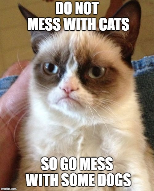 Grumpy Cat Meme | DO NOT MESS WITH CATS; SO GO MESS WITH SOME DOGS | image tagged in memes,grumpy cat | made w/ Imgflip meme maker