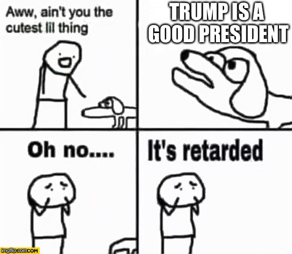 Oh no it's retarded! | TRUMP IS A GOOD PRESIDENT | image tagged in oh no it's retarded | made w/ Imgflip meme maker