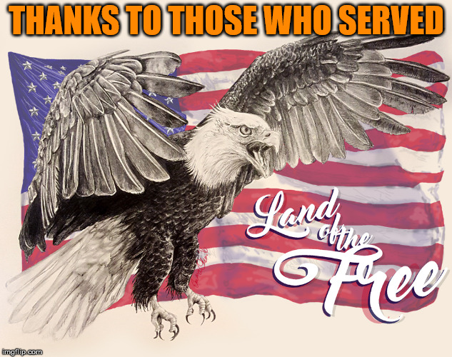 Appreciate our troops which gave us freedom | THANKS TO THOSE WHO SERVED | image tagged in freedom,support our troops | made w/ Imgflip meme maker