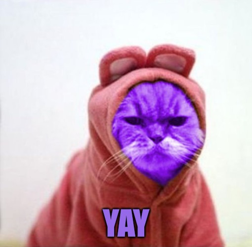 Sullen RayCat | YAY | image tagged in sullen raycat | made w/ Imgflip meme maker