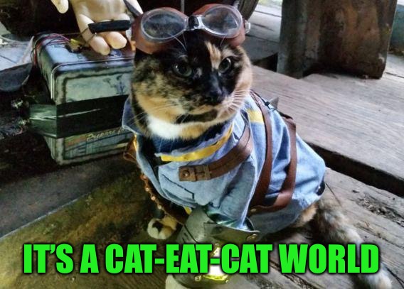 Fallout RayCat | IT’S A CAT-EAT-CAT WORLD | image tagged in fallout raycat | made w/ Imgflip meme maker