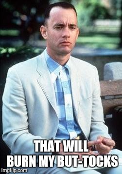 Forest gump | THAT WILL BURN MY BUT-TOCKS | image tagged in forest gump | made w/ Imgflip meme maker