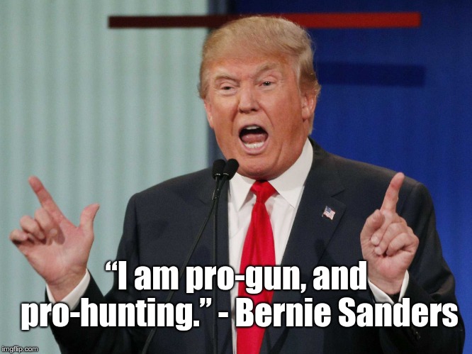 “I am pro-gun, and pro-hunting.” | “I am pro-gun, and pro-hunting.” - Bernie Sanders | image tagged in donald trump,bernie sanders,gun control,guns,hunting | made w/ Imgflip meme maker