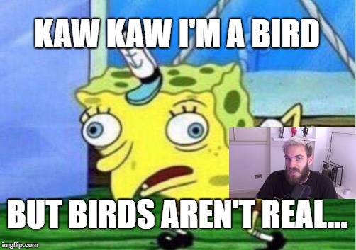 Mocking Spongebob | KAW KAW I'M A BIRD; BUT BIRDS AREN'T REAL... | image tagged in memes,mocking spongebob | made w/ Imgflip meme maker