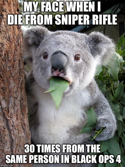 Surprised Koala | MY FACE WHEN I DIE FROM SNIPER RIFLE; 30 TIMES FROM THE SAME PERSON IN BLACK OPS 4 | image tagged in memes,surprised koala | made w/ Imgflip meme maker