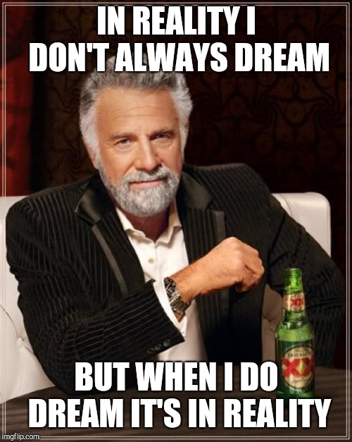 The Most Interesting Man In The World Meme | IN REALITY I DON'T ALWAYS DREAM BUT WHEN I DO DREAM IT'S IN REALITY | image tagged in memes,the most interesting man in the world | made w/ Imgflip meme maker